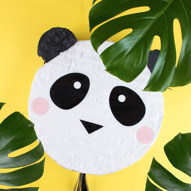 Pinhata Panda - Image 3